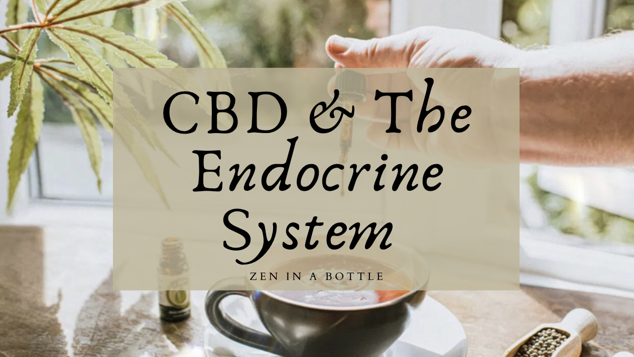CBD and Hormone Regulation - Zen In A Bottle